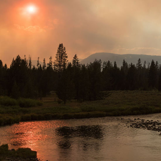 Fly Fishing Wildfire Tips
