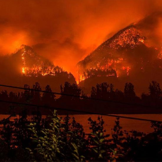 Angler Wildfire Tips
